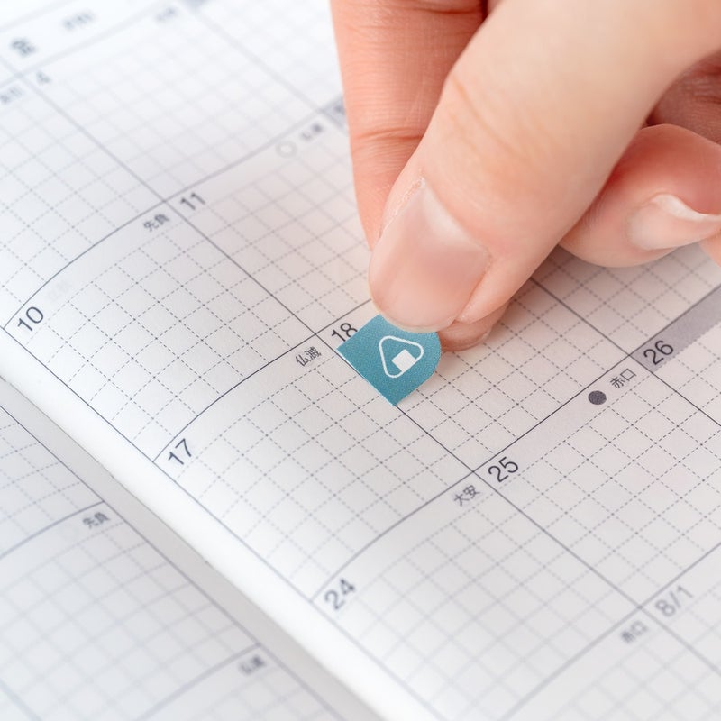 Hobonichi | TSUKI no IRO: Tarrasetti (Schedule)