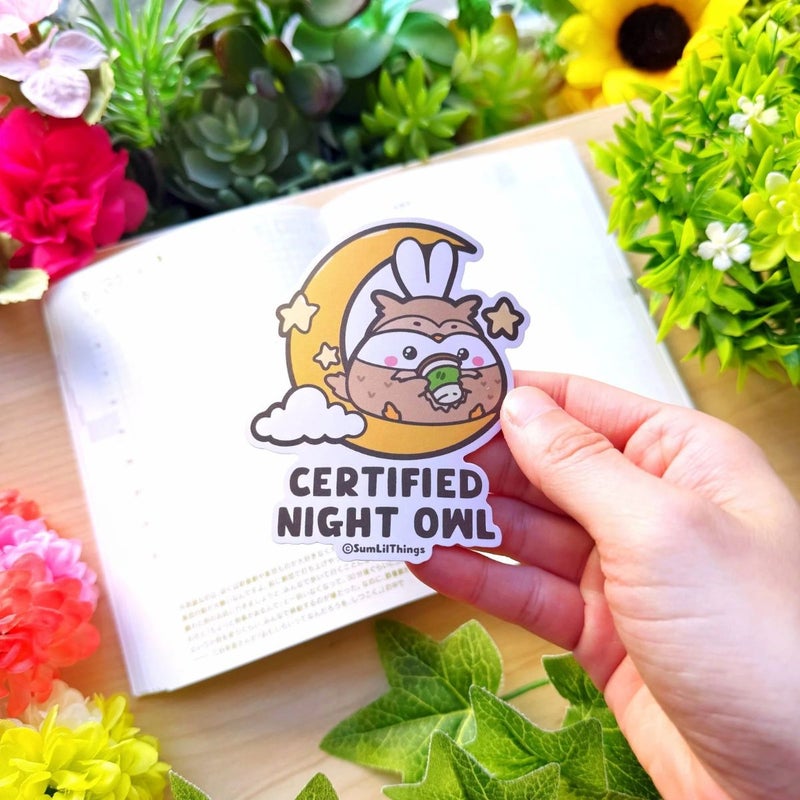 SumLilThings | Vinyylitarra - Certified Night Owl