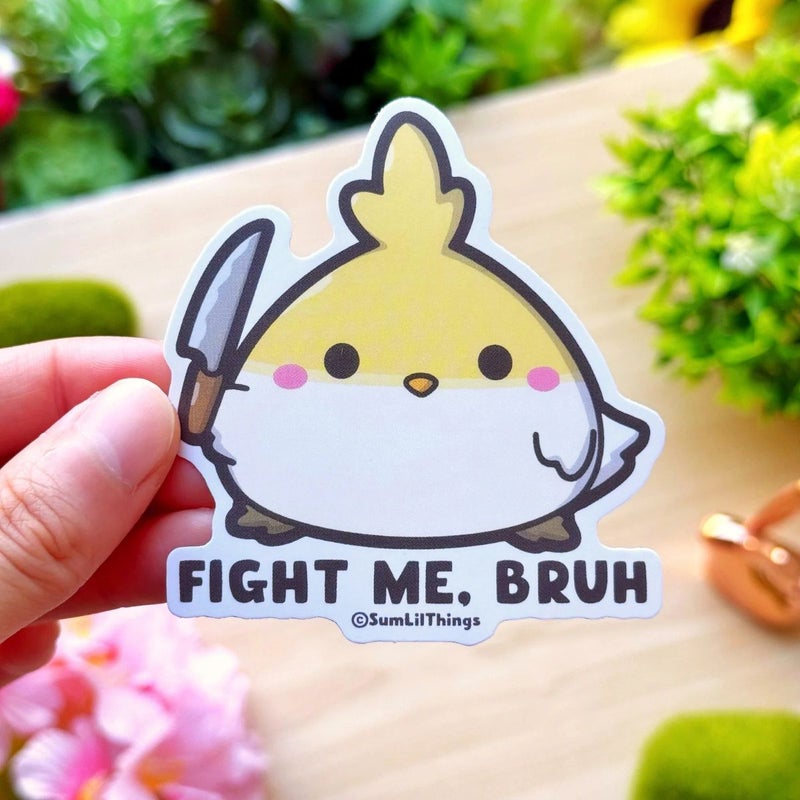 SumLilThings | Vinyylitarra - Fight Me, Bruh
