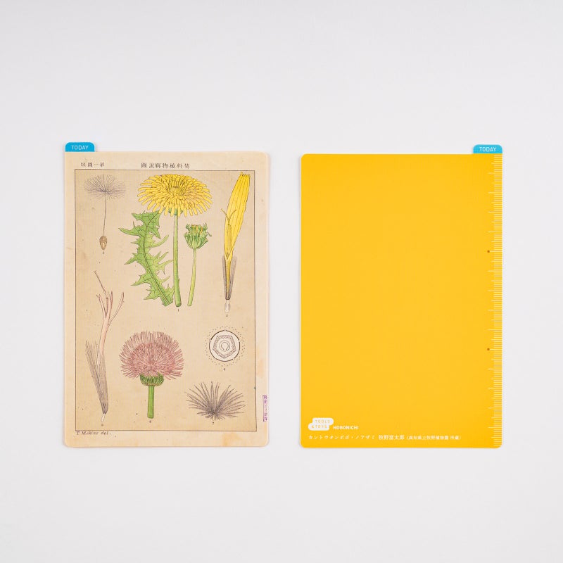 Hobonichi | Tomitaro Makino: Hobonichi Pencil Board for A6 Size (Tomitaro Makino)