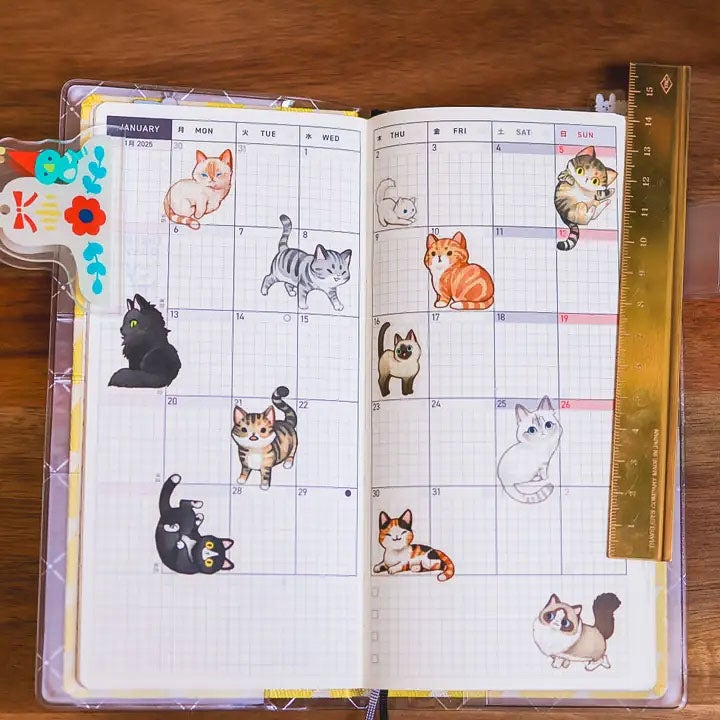 Thousand Skies | Tarra-arkki - Neighborhood Cats